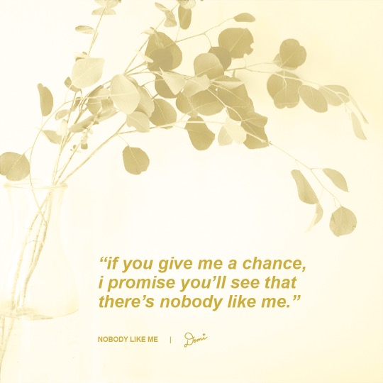 Nobody Like Me Lyric Graphic
“If you give me a chance, I promise you’d see that there’s nobody like me.”